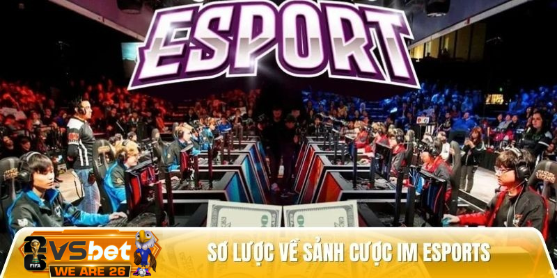 IM Esports - Sảnh cược hấp dẫn hơn 5000 trận đấu mỗi tháng Thiet ke chua co ten 29