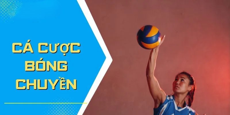 Cá cược bóng chuyền - Hướng dẫn cá cược chuyên nghiệp Tổng hợp các kèo cược tiềm năng trong cá cược bóng chuyền