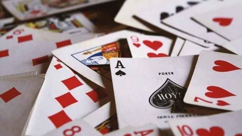 5 cách dụ heo đỏ để chặt cao thủ cũng phải gật gù công nhận Tổng hợp các phương pháp dụ heo đỏ chuẩn xác nhất