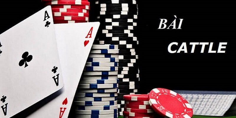 Catte - Game bài đổi thưởng đặc sắc chinh phục mọi sòng bạc online Game cát tê mang đến niềm vui và phần thưởng cho người chơi